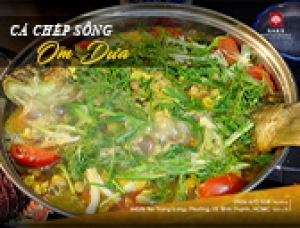 CÁ CHÉP SÔNG OM DƯA: BIỂU TƯỢNG CỦA SỰ TƯƠI MÁT TẠI NHÀ HÀNG CÂY SAKE